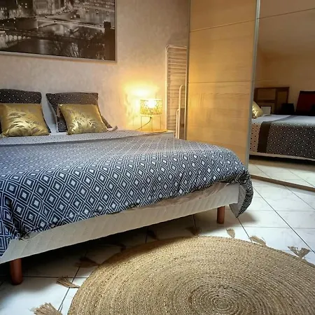 Apartment Confortable En Centre-ville + Parking Prive + Cour