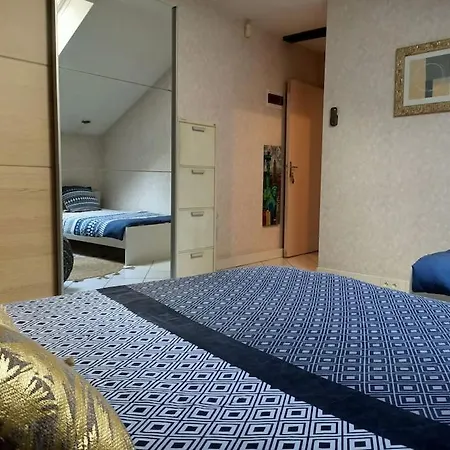Confortable En Centre-ville + Parking Prive + Cour Apartment *